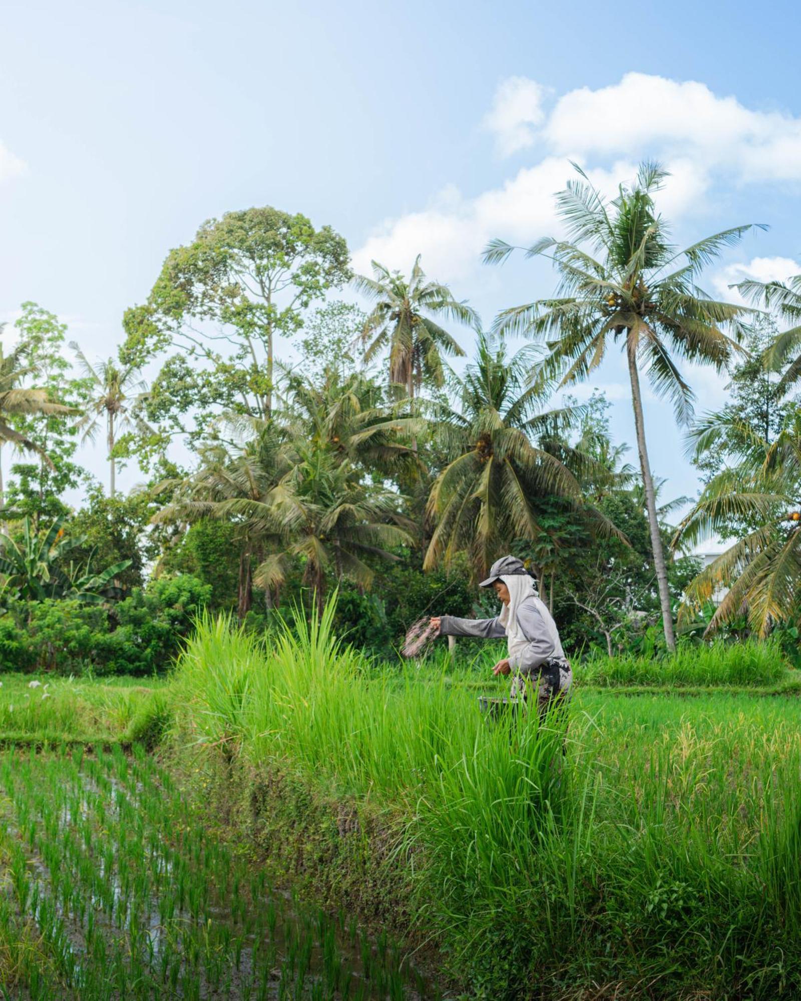 Tannari Villa Ubud Екстер'єр фото